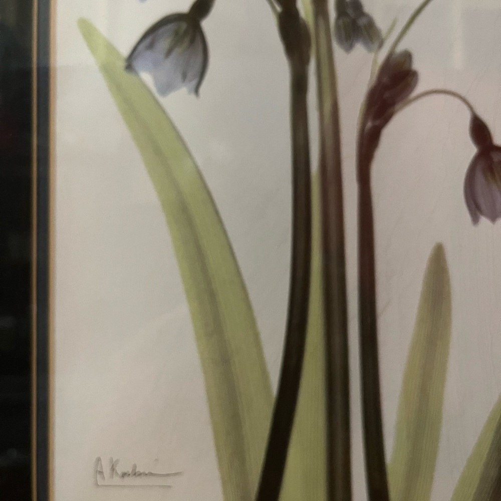 Framed Print - Picture 2 of 4